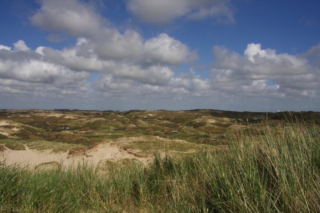 Holland duneslandscape